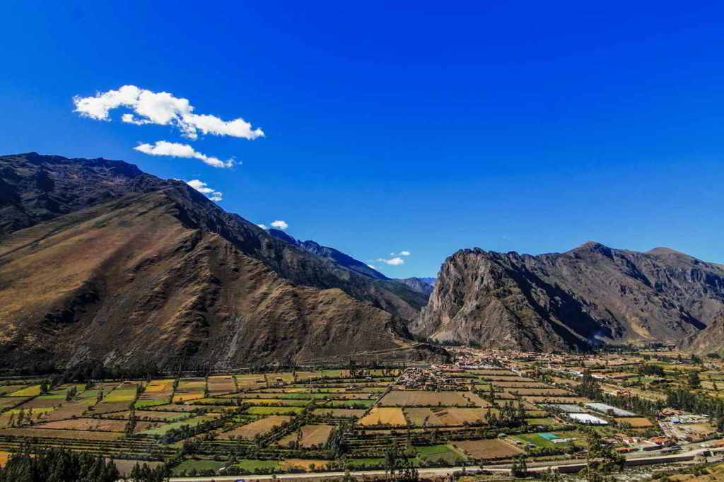 machu picchu llama tour