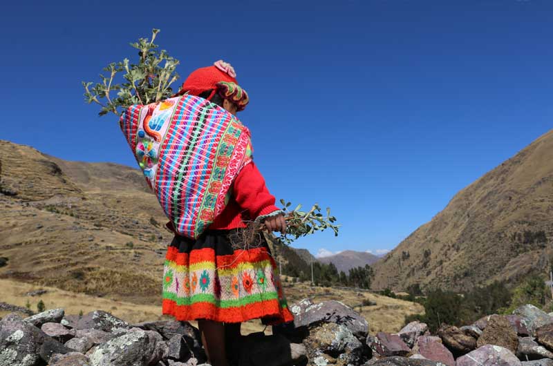 Responsible Travel Peru