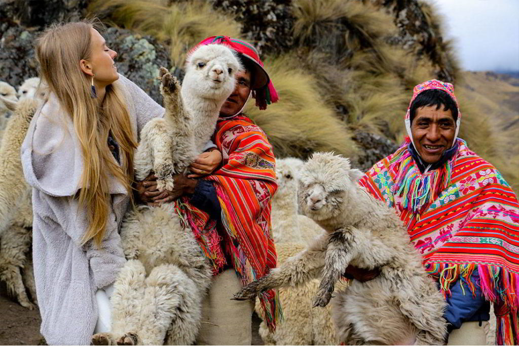 Llama Blessing in Local Community