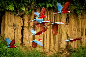Explore Peru Tour
