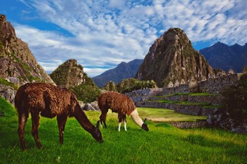 Quintessential Cusco Tour