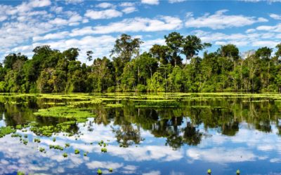 Why Should Visit Peruvian Amazon