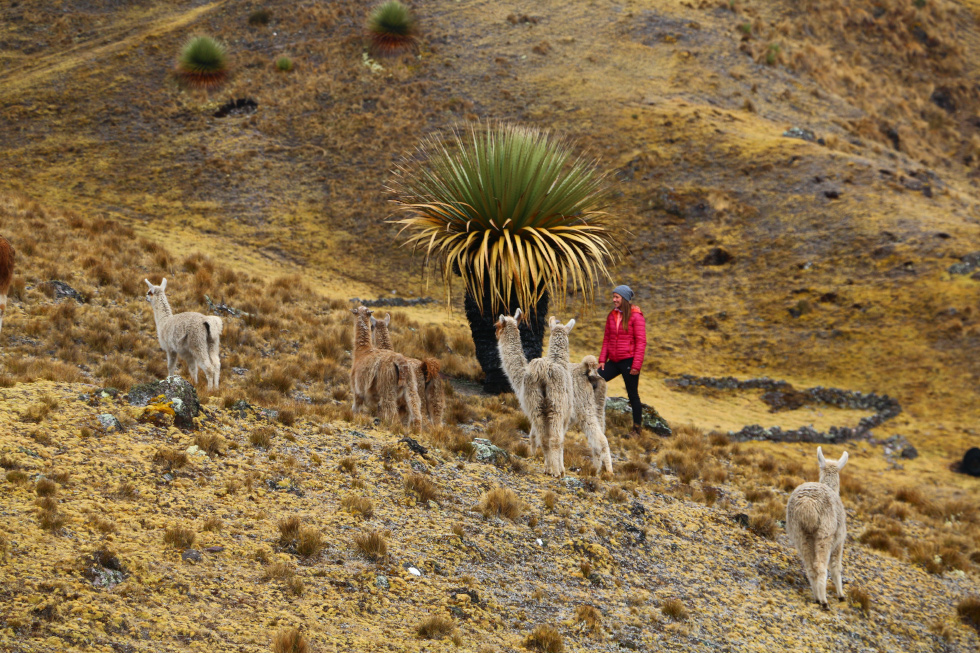 Quechua Village to Machu Picchu. solo travel