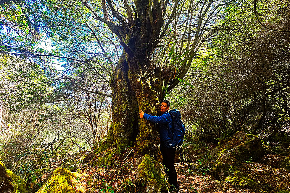 Connection With Nature at the Temple of the Moon
