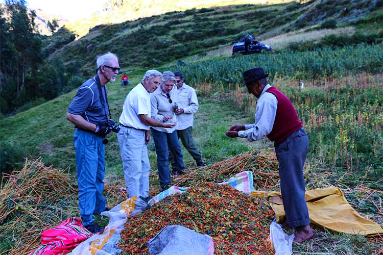 Regenerative Travel Peru, • Authentic regenerative travel Peru, • Regenerative tourism Andes