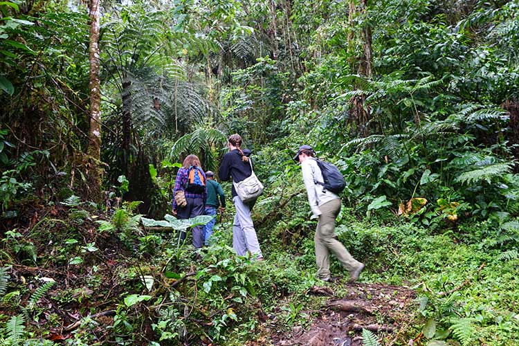 , eco friendly tours Cusco, experiential tourism in Peru