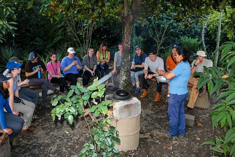 cacao tour in Huyro, Huyro cacao experience, cacao tour Cusco,homestay in Huyro Peru, responsible travel in Peru, sustainable tourism in Cusco, cacao farm tour Peru, eco friendly tours Cusco, experiential tourism in Peru