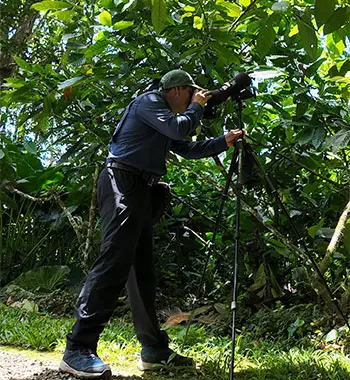 A Shared Vision Across Different Rainforests Sustainable travel experience connecting different rainforest regions in Peru and South America,