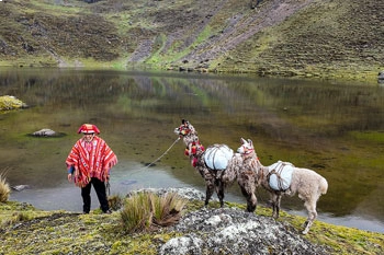 Andean Family Homestay Experience in Lares Valley – Cultural Trek to Machu Picchu Andean family homestay during Lares Llama Trek to Machu Picchu – cultural experience in Patacancha Peru