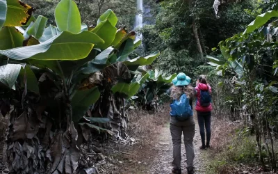The Heart of the Cusco Jungle in Deepest, Darkest Peru!