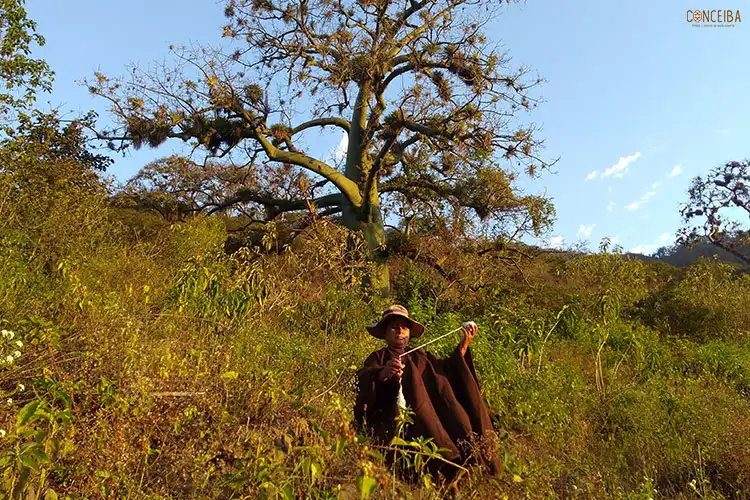 Peruvian artisans weaving soft ceiba tree fiber by hand using ancestral techniques in a traditional village home