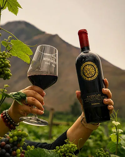 huayoccari vineyard more than wine cusco Huayoccari vineyard in the Sacred Valley of Cusco, Peru, built on more than wine.